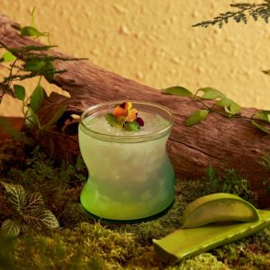 30. Súp Thủy Tinh Bạc Hà