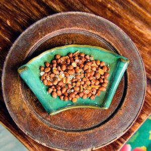 4.11. LẠC RANG MUỐI